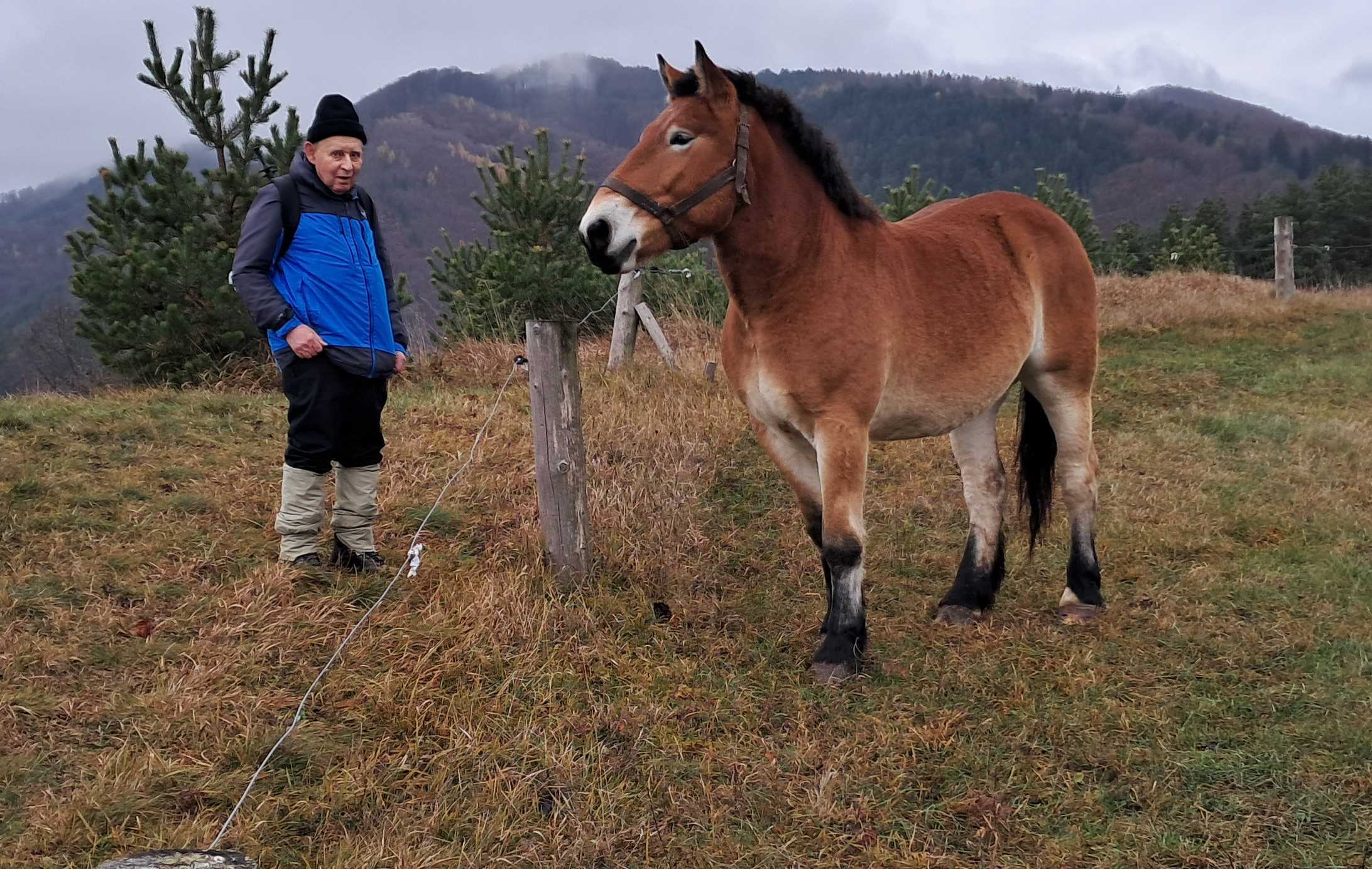 Janko s koníkom