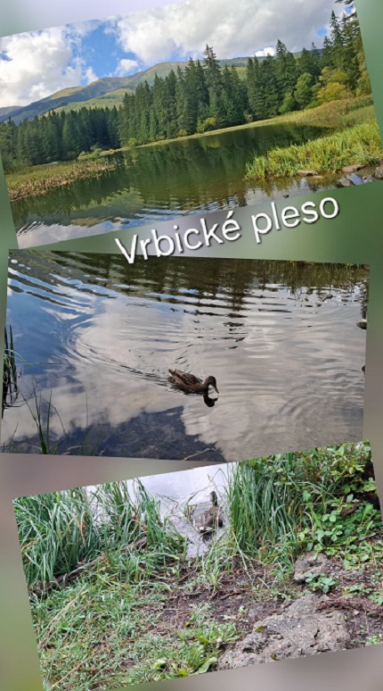 pleso