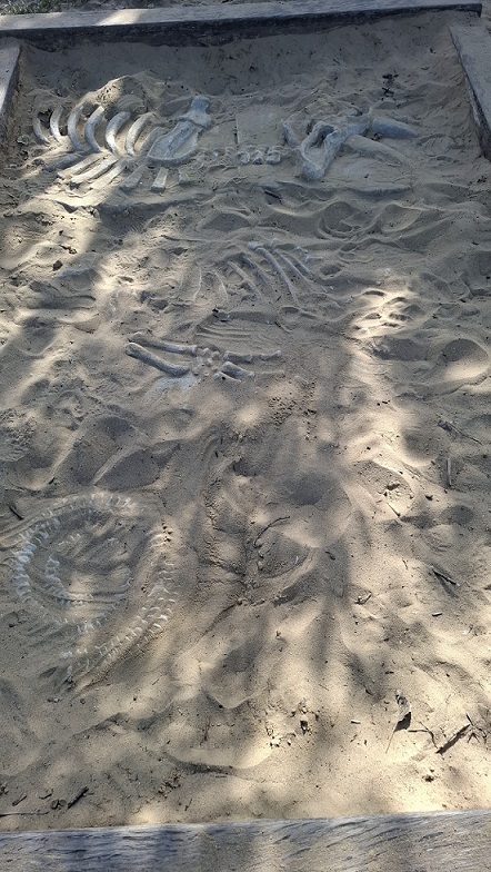 pozostatky dávnych živočíchov