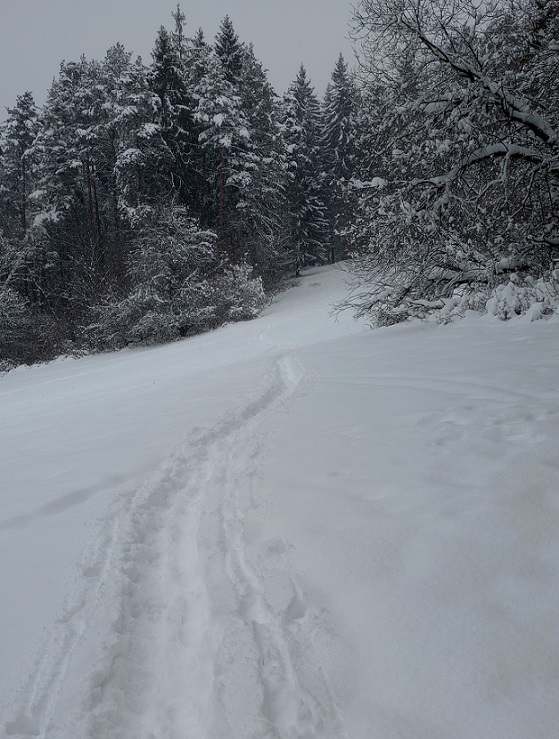 cesty snehem zaváte